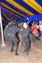 Thumbs/tn_Castlefest 2017 Silent disco zondag 005.jpg